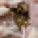 하림생닭 - 남구 동명로152번길 74 | 하림생닭