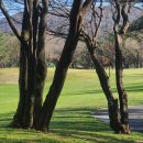 더클래식CC 이미지