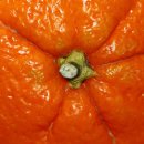 클라우드 짐 이미지