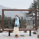 휴마트 | 양평펜션 황토자연휴 위치 양평한옥펜션 양평촌캉스 1박2일 후기 바베큐장 불멍 주차