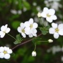 호계공원 이미지