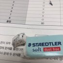 스페인어 초급(비대면) 이미지