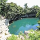 불로초목장 이미지