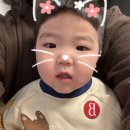 정원어린이집 | [3/23~4/5 주간일상] 어린이집 첫 소풍간 쭈니 / 박효신콘서트 / 박효신AE콘서트 / 포천 예술정원1999