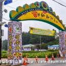 너무 허탈했던 함안 강주마을 해바라기 축제 이미지