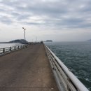 둘리민박 이미지