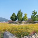 여주-1011 이미지