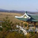 여진개발 네이버블로그