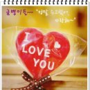 희망곤충농장 이미지