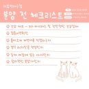 미유펫대구 강아지분양고양이분양(도그플러스동물병원) 이미지