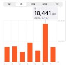 토스트앤드핫바 | [순천] 대구-순천 당일치기 순천만 국가 정원 방문 후기 23년 5월 15일 (나라별 정원, 동물원) 사진...