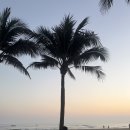 뉴발리 노래연습장 | 다낭 3박5일 자유여행 4&amp;5일차｜한시장·롯데마트 쇼핑템 후기