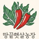 땅끝햇살고추