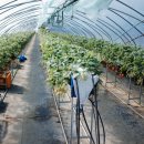 군남농장 이미지