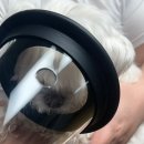 CU | 강아지 산소방 CU메디칼 후기 | 기관지협착 심장 케어