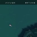 띠섬(모도)