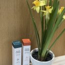 더마솔루션 이미지