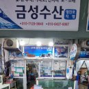 금성회수산 티스토리