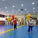 차암 한얼 태권도 이미지