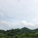 알펜시아 700 골프클럽 | 알펜시아700CC에서 시원하게 야간라운딩 후기