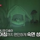 다솜이농장 네이버블로그