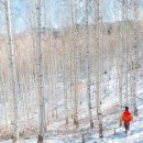 대둔산목장 이미지