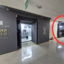 특허법인빛과소금