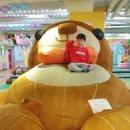 키즈꿈터어린이집 이미지