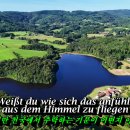 Andrea Berg - Der letzte Tag im Paradies 이미지