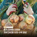 김진석 농장 이미지