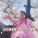 군산월명체육관 | 군산여행 아이랑 벚꽃명소부터 선유도까지 당일나들이 코스