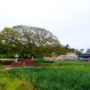 예송한옥민박