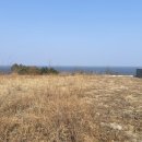 동해바다공인중개사무소 이미지