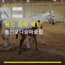 용인씨씨승마클럽 | 용인 승마 체험 용인포니승마클럽 사계절 수업 가능, 12개 메달 쾌거