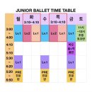 라엘발레스튜디오 이미지