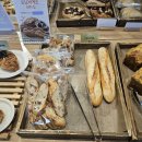 고산도서관 | 시지동 고산도서관 옆 카페 아이올리 4번째 방문 후기