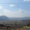 흑송농장 이미지