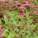 별자리펜션 이미지