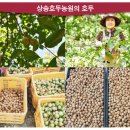 상송호두농원 이미지