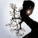 베스트로(주)