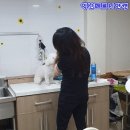 춘자네 개발바닥 이미지