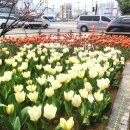 장유1동행정복지센터 이미지