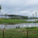 순천만짱둥어마을 이미지