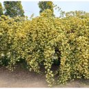 냉천회관 이미지