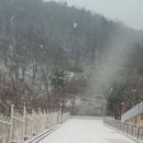 대교초교 이미지