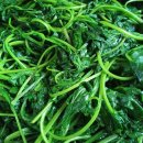 연당조전로 이미지