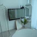 마레모어 이미지