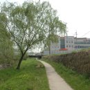 안양천 안양4교 이미지