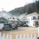 강원도 타샤의 정원 이미지