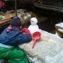 자갈치와 어머니 이미지